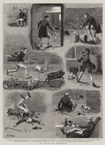 An Impulsive Gardener